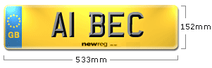 Large Rear Number Plate Dimensions