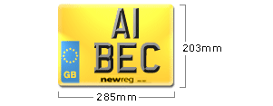 Square Number Plate Back Dimensions