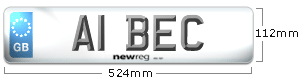 Standard Number Plate Front Dimensions
