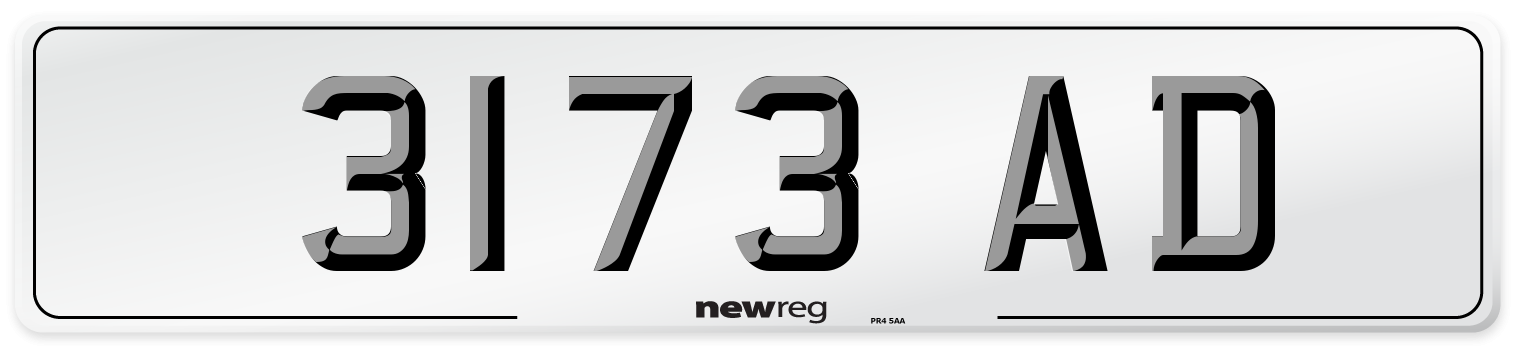 3173 AD Rear Number Plate