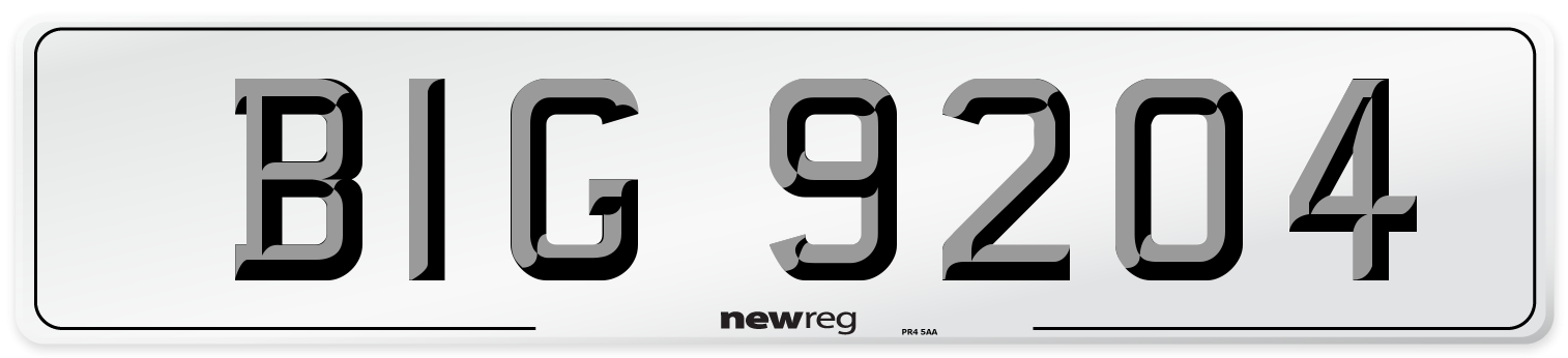 BIG 9204 Rear Number Plate