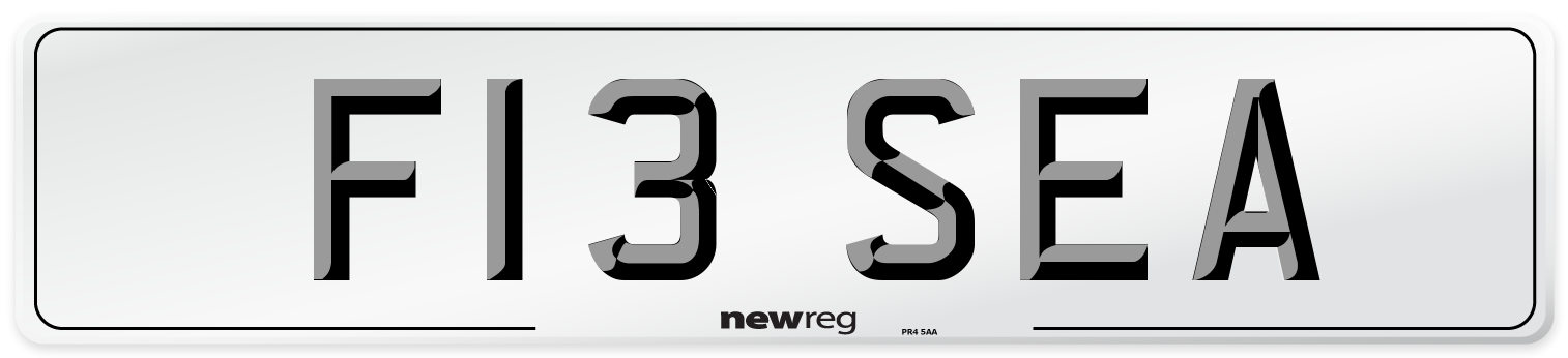 F13 SEA Rear Number Plate