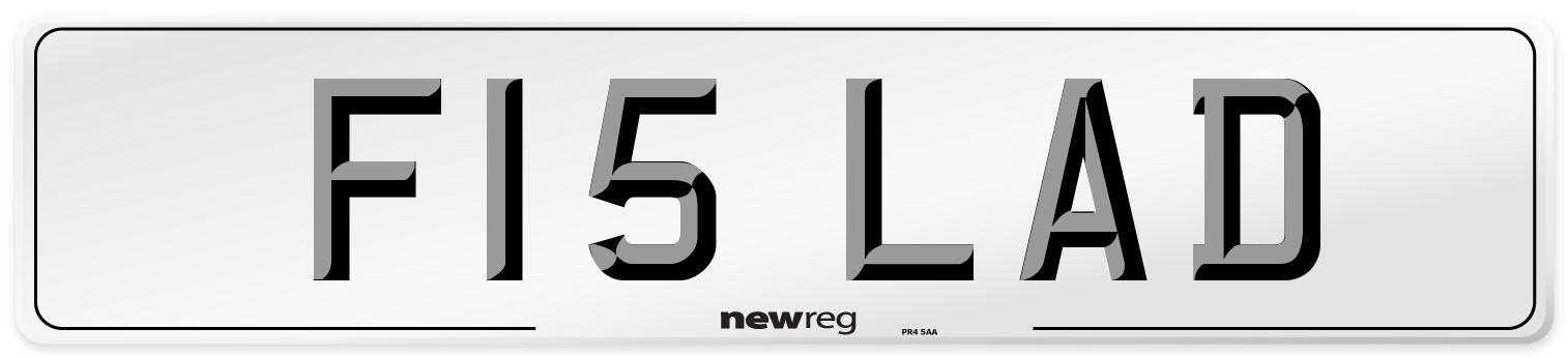F15 LAD Rear Number Plate