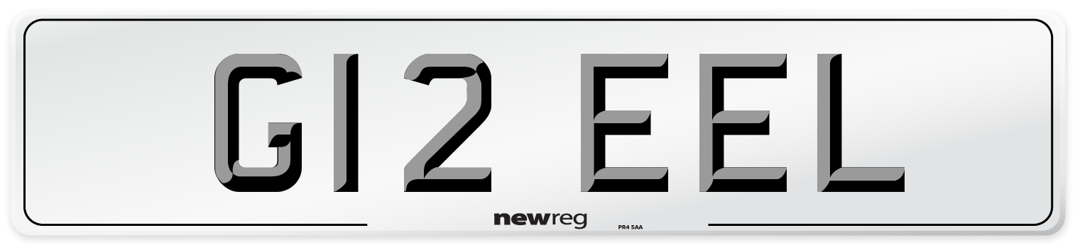 G12 EEL Rear Number Plate