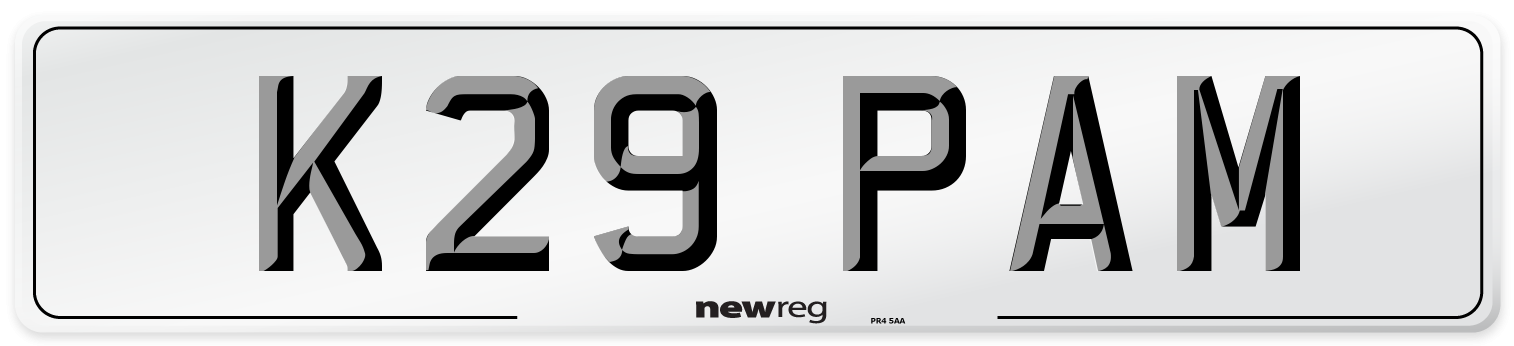 K29 PAM Number Plate from New Reg