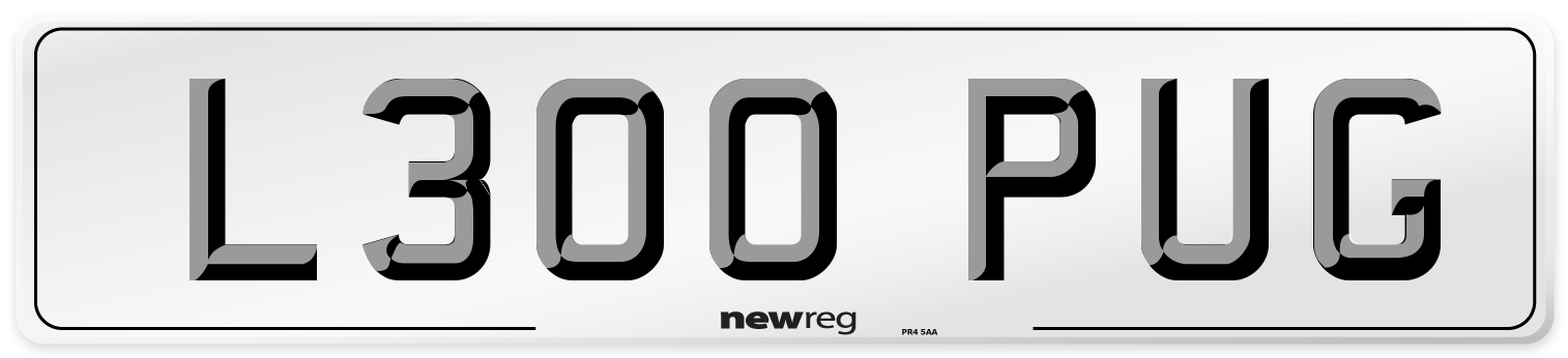 L300 PUG Number Plate from New Reg