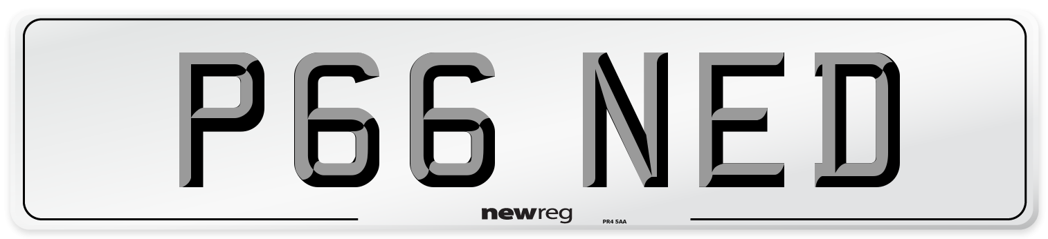 P66 NED Rear Number Plate