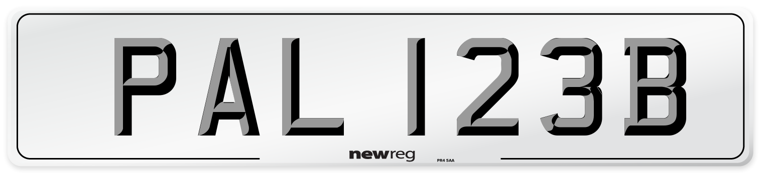 PAL 123B Rear Number Plate