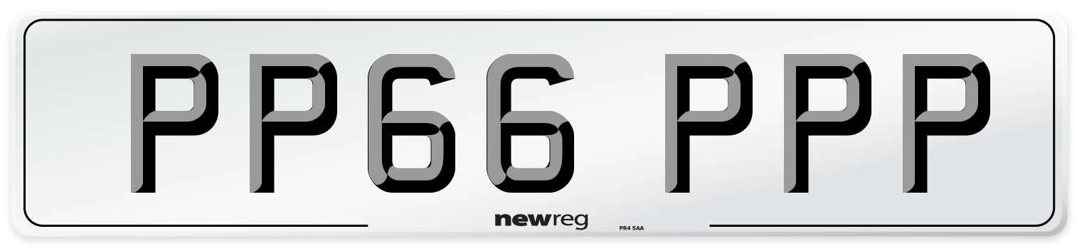 PP66 PPP Rear Number Plate