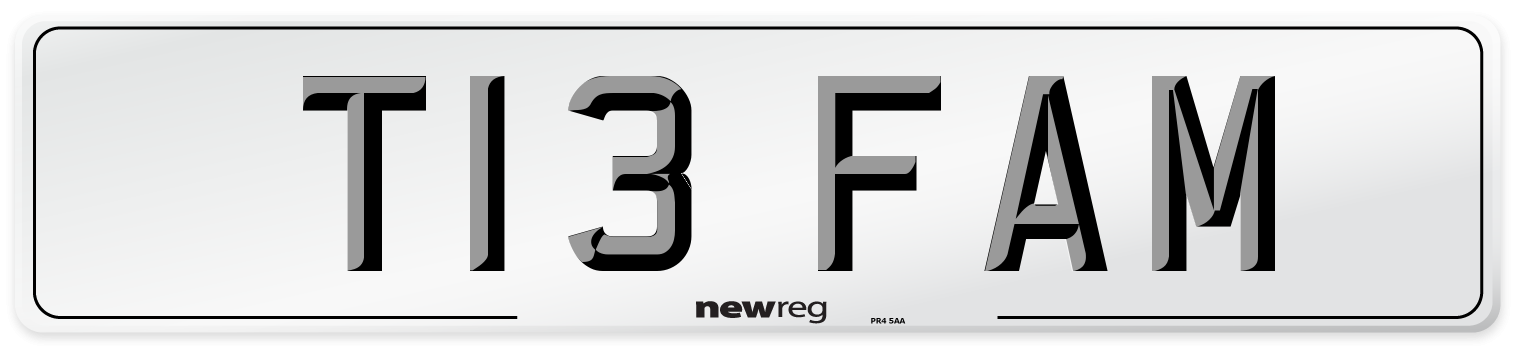 T13 FAM Rear Number Plate