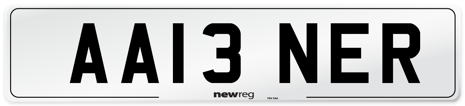 AA13+NER