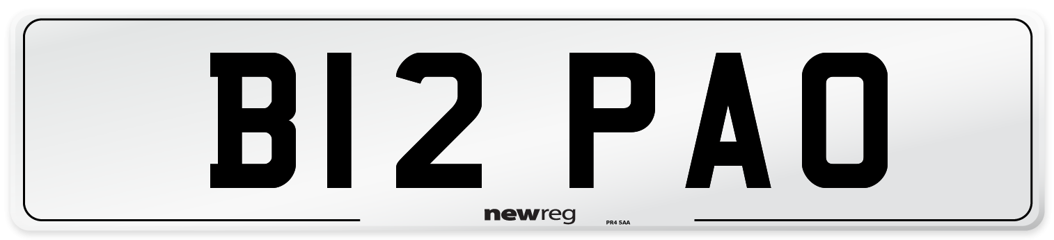 B12+PAO