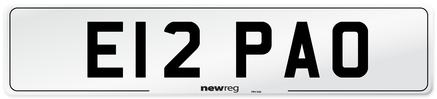 E12+PAO
