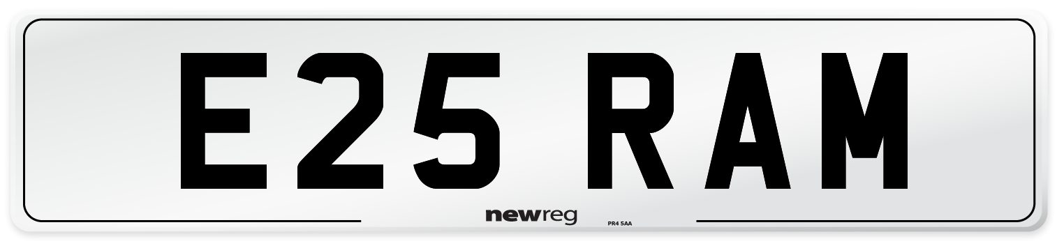 E25+RAM