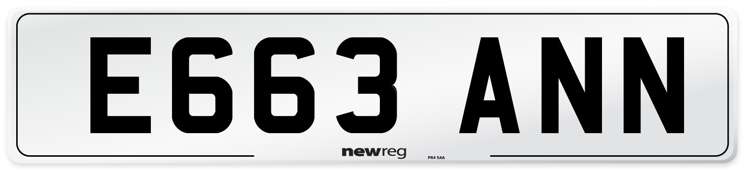 E663+ANN