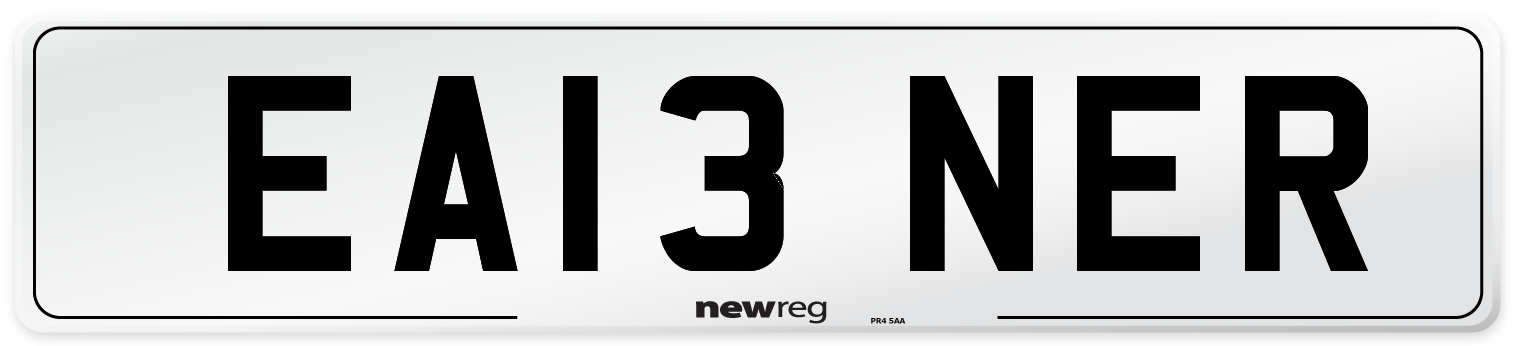 EA13+NER