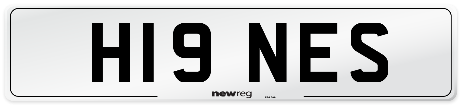 H19+NES