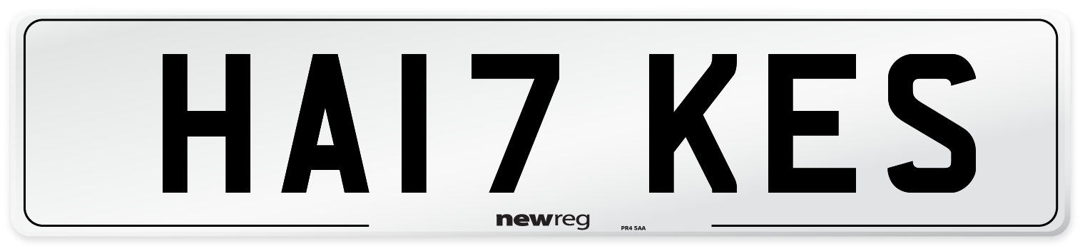 HA17+KES