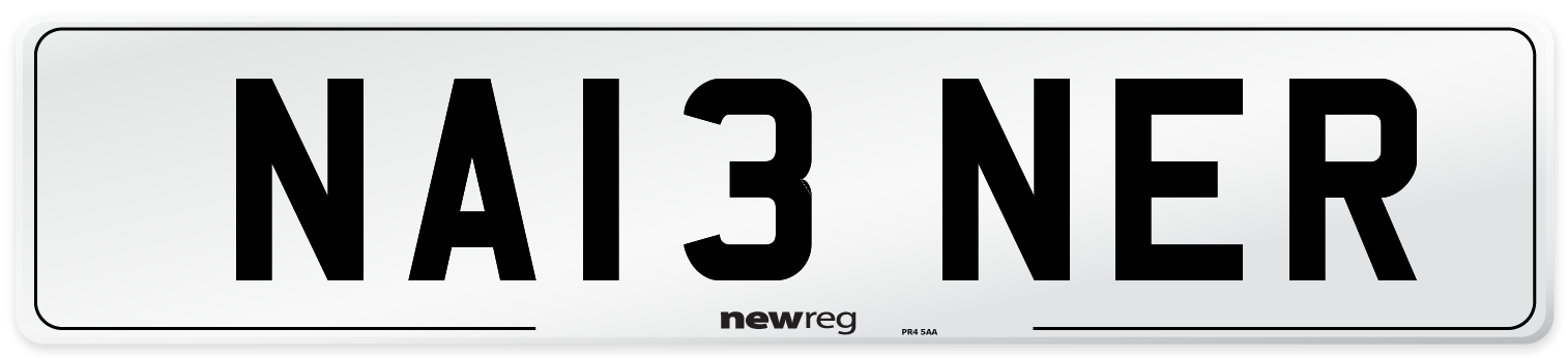 NA13+NER