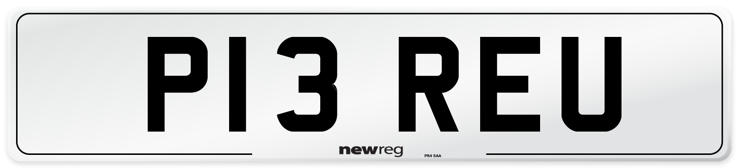 P13+REU