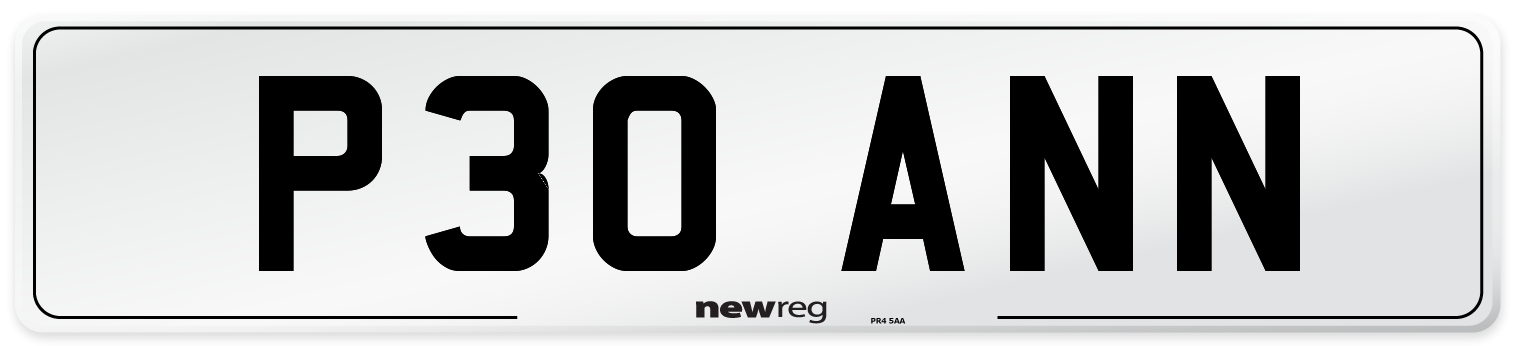 P30+ANN