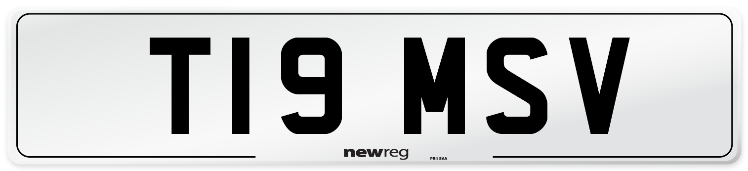 T19+MSV