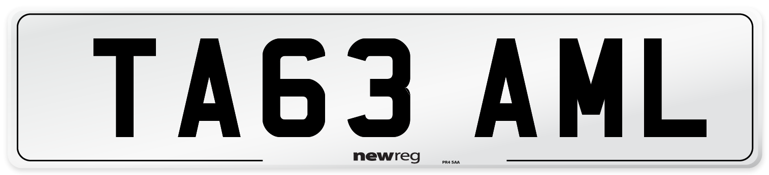 TA63+AML