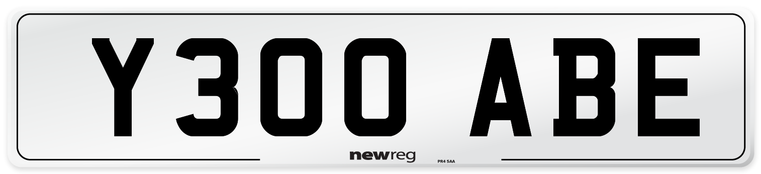 Y300+ABE