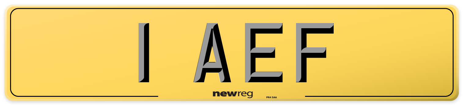 1 AEF Rear Number Plate