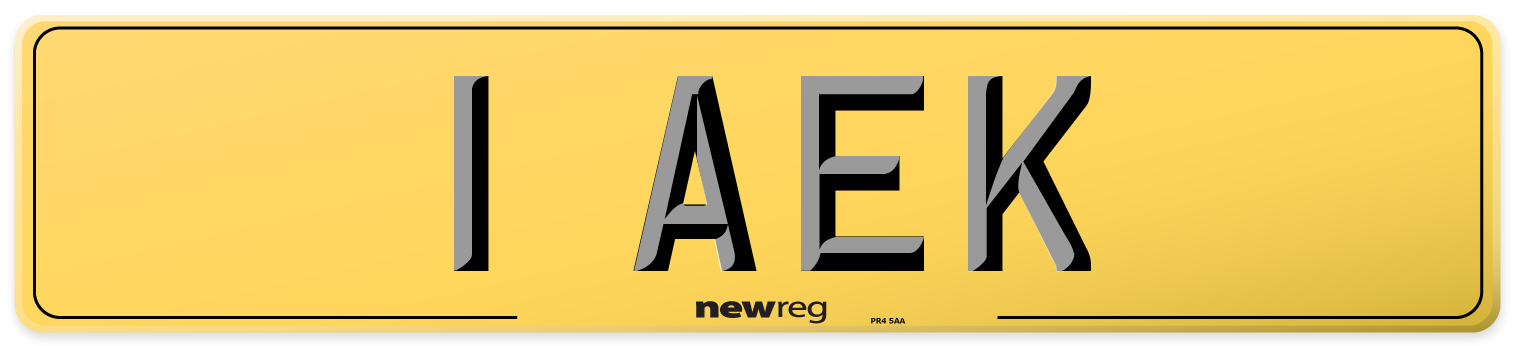 1 AEK Rear Number Plate