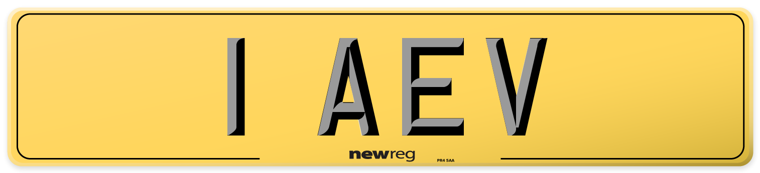 1 AEV Rear Number Plate