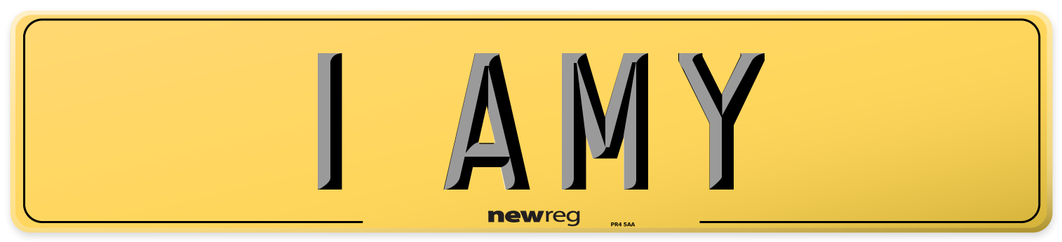 1 AMY Rear Number Plate