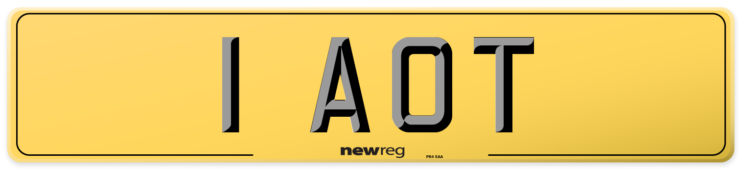 1 AOT Rear Number Plate