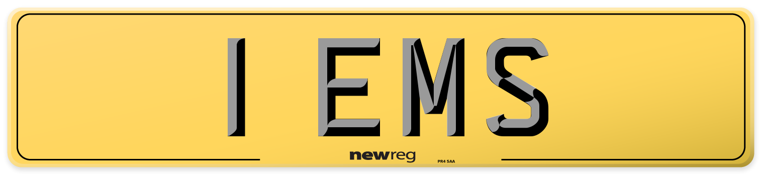 1 EMS Rear Number Plate