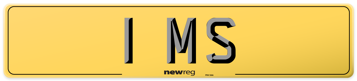 1 MS Rear Number Plate