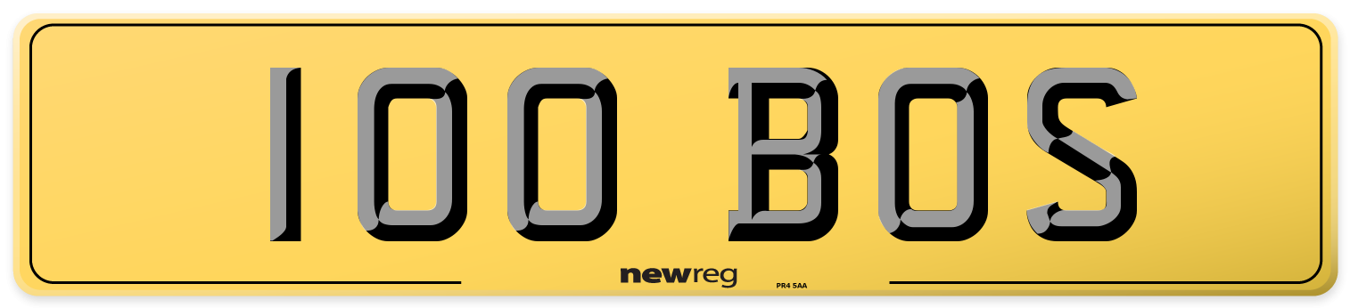 100 BOS Rear Number Plate