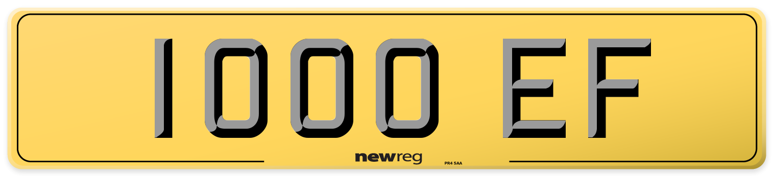 1000 EF Rear Number Plate
