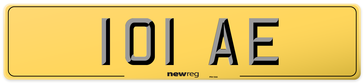 101 AE Rear Number Plate