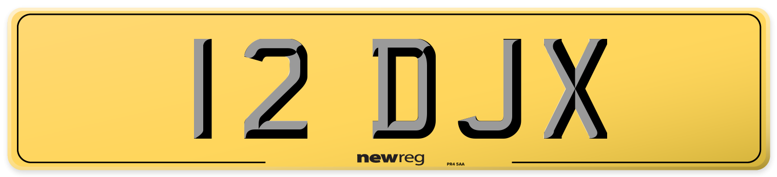 12 DJX Rear Number Plate