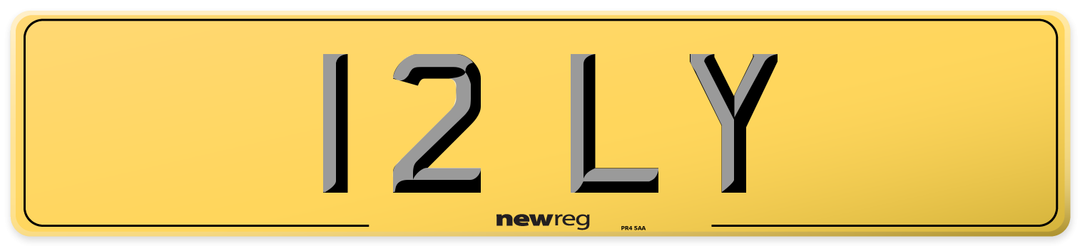 12 LY Rear Number Plate
