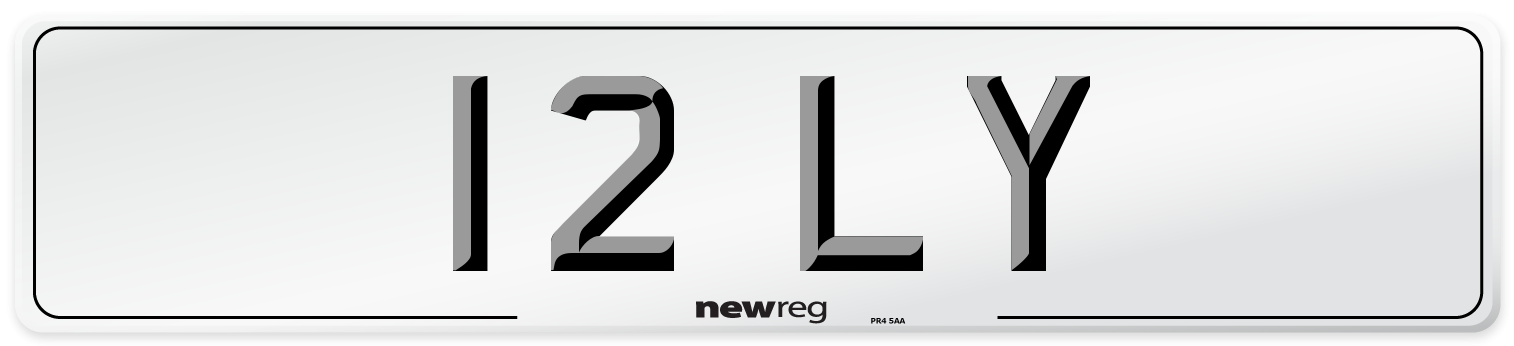 12 LY Front Number Plate