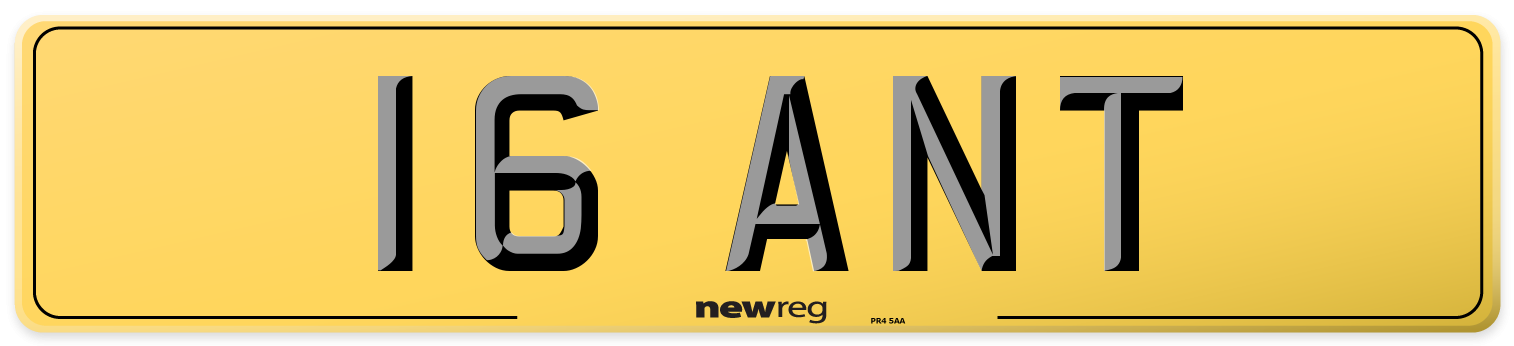 16 ANT Rear Number Plate
