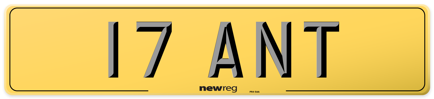 17 ANT Rear Number Plate