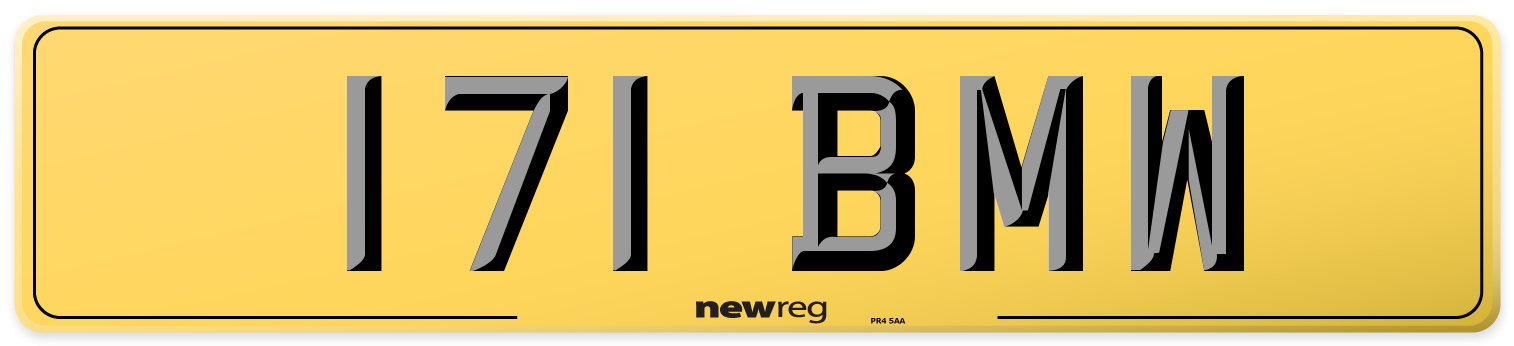 171 BMW Rear Number Plate