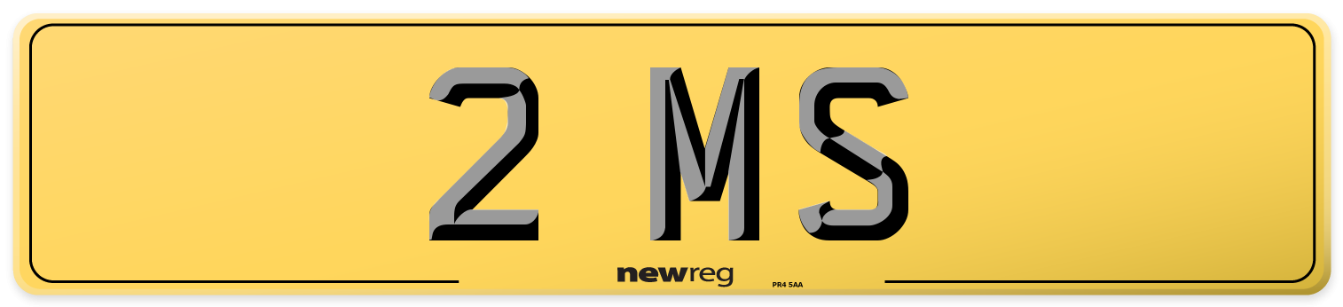 2 MS Rear Number Plate