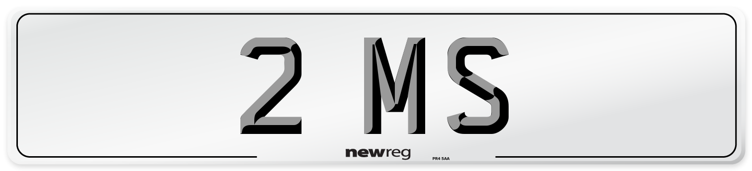 2 MS Front Number Plate