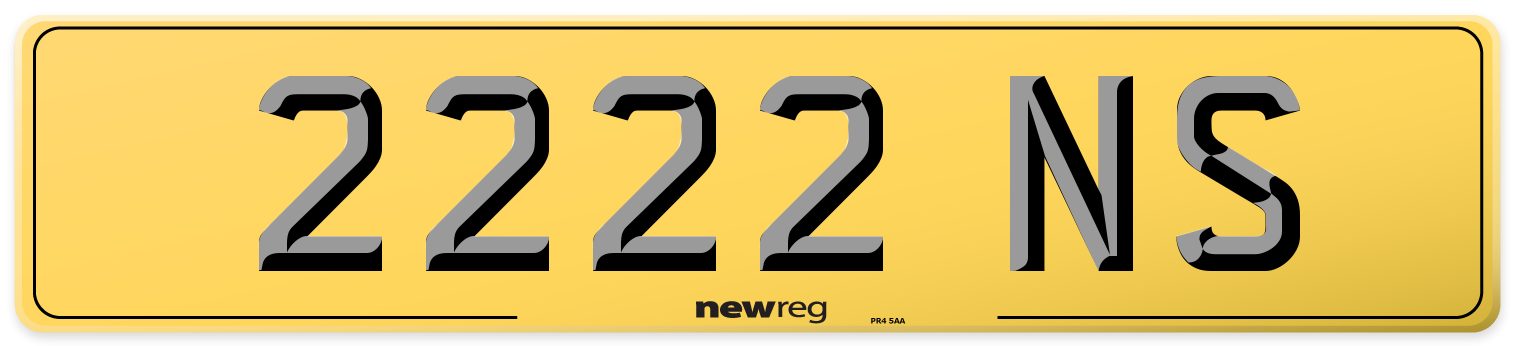 2222 NS Rear Number Plate