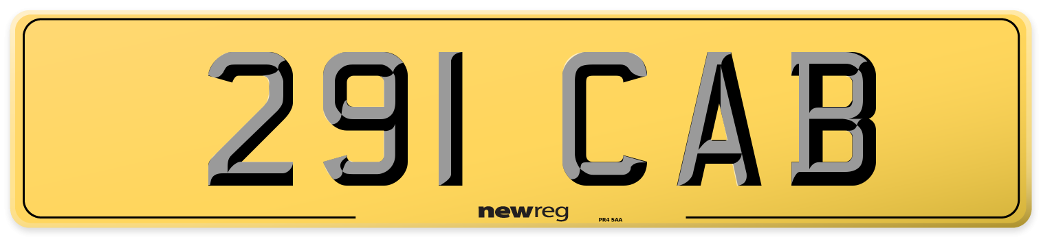 291 CAB Rear Number Plate