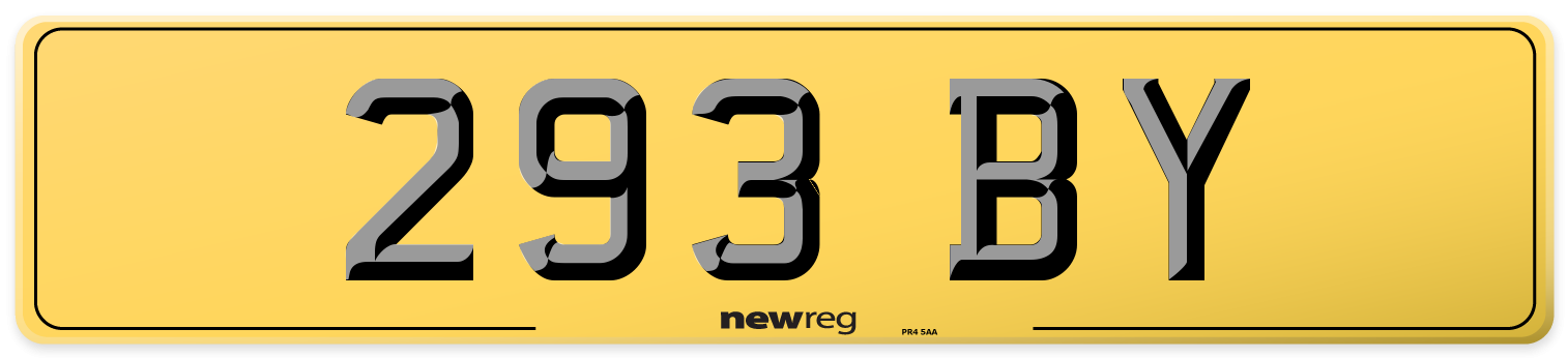 293 BY Rear Number Plate