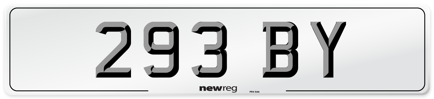 293 BY Front Number Plate
